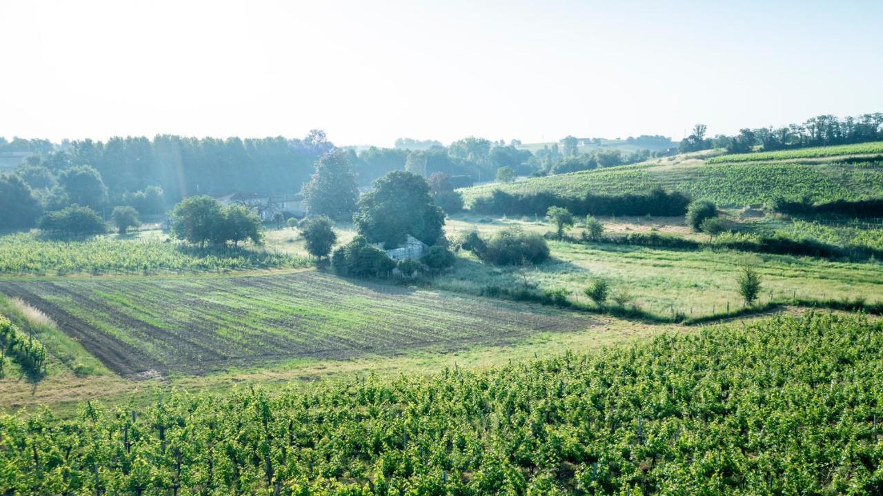 Suite Campagnarde Pres Bordeaux, Vue Sur Les Vignes Au Chateau Camponac Bourg-sur-Gironde Dış mekan fotoğraf